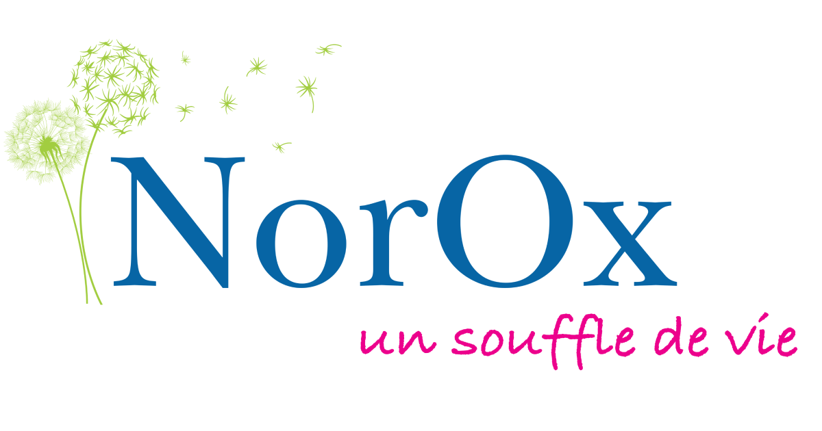 logo Norox